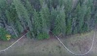No Canadá: montanha-russa individual passa por floresta