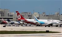 Aeroporto de Miami usa cães para identificar covid-19 em funcionários