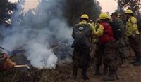 Incêndios no Chile afetam cerca 100 hectares de vinícolas