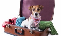 Hotel Nobu e Eden Roc, em Miami, agora são pet friendly Hotel Nobu e Eden Roc, em Miami, agora são pet friendly