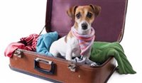 Viagens com pets: turistas ainda enfrentam problemas Viagens com pets: turistas ainda enfrentam problemas