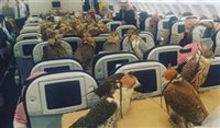 Príncipe árabe compra 80 assentos para falcões em voo