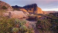 Veja paisagens da Tasmânia que aparecem no filme Lion