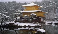 Entre templos, comida e jardins: 6 motivos para ir ao Japão