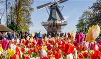 Holanda: descubra o que visitar no Parque Keukenhof