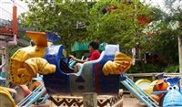 Busch Gardens para crianças: confira atrações infantis