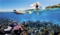 Grande Barreira de Corais tem novas regras para esnórquel