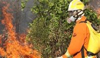 Incêndio atinge áreas do Parque Nacional de Brasília