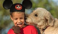 Walt Disney World começa a aceitar cães em seus hotéis Walt Disney World começa a aceitar cães em seus hotéis