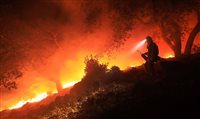 Após incêndios, Califórnia lança campanha com celebridades