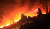 Enoturismo na Califórnia luta para se reerguer após incêndios