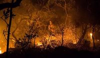 Incêndio já devasta 22% da Chapada dos Veadeiros