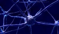 Neuroengenharia é tema de palestra do Fórum PANROTAS
