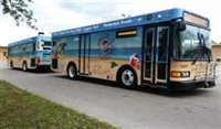 Paradise Coast (EUA) terá novos ônibus gratuitos na alta