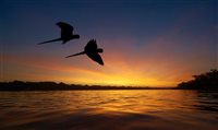 Brasil é líder mundial em turismo na natureza selvagem Brasil é líder mundial em turismo na natureza selvagem