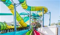Parque do Busch Gardens inaugura escorregador de 130m