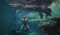 Parque australiano oferece mergulho com crocodilos gigantes