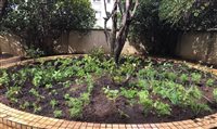 Pestana SP investe em horta orgânica