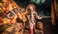 Busch Gardens Tampa lança sete novas atrações para o Halloween