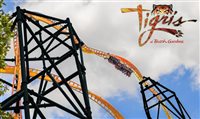 Busch Gardens revela Tigris, nova montanha-russa em Tampa Bay