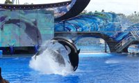 Sea World Orlando será reaberto em 11 de junho