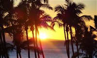 Palm Beaches (Flórida) não sofreu danos graves após furacão Palm Beaches (Flórida) não sofreu danos graves após furacão