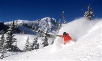 Jackson Hole Mountain Resort (EUA) bate recorde de visitação Jackson Hole Mountain Resort (EUA) bate recorde de visitação