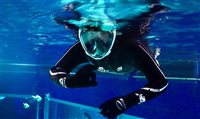 AquaRio abre mergulho de flutuação ao público