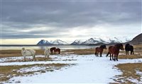 Six Senses pretende abrir resort na Islândia em 2022