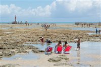 Praias de Alagoas estão próprias para banho, diz relatório