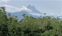 Recanto dos yanomami, Pico da Neblina deve ser reaberto Recanto dos yanomami, Pico da Neblina deve ser reaberto