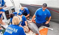 SeaWorld registra mais de 36 mil animais resgatados