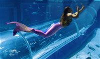 AquaRio amplia horário de visitação em janeiro AquaRio amplia horário de visitação em janeiro