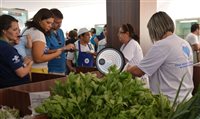 Brasil bate recorde histórico de abertura de MEIs, revela Serasa Brasil bate recorde histórico de abertura de MEIs, revela Serasa
