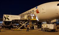 American Airlines inicia operações de carga no Brasil