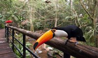 Parque das Aves (PR) fecha novamente suas portas para visitantes