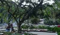Jardim Botânico do Rio reabre com visitas agendadas