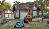 Mavsa Resort agora aceita cachorros de estimação