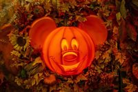 Disney permitirá adultos fantasiados durante Halloween