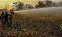 Incêndios no Pantanal derrubam ocupação a 5%; FBHA pede ações