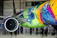 'Aeronave mais colorida do Brasil' é lançada hoje; veja vídeo