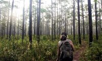 Visit Florida destaca passeios e destinos ecológicos pela região