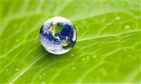 BCD dá dicas para sustentabilidade em eventos