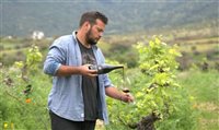 Azul Viagens lança pacotes para Mendoza voltados para amantes de vinho e casais Azul Viagens lança pacotes para Mendoza voltados para amantes de vinho e casais