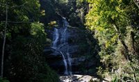 Floresta da Tijuca mantém posto de parque nacional mais visitado do País
