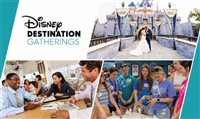 Disney lança marca para Mice, viagens em grupo e casamentos