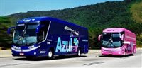 Azul expande opções de horários de ônibus entre São Paulo e Campinas