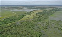 Grupo Latam firma aliança com Fundação Cataruben para preservar florestas Grupo Latam firma aliança com Fundação Cataruben para preservar florestas