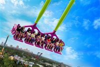 Serengeti Flyer é inaugurado no Busch Gardens Tampa Bay