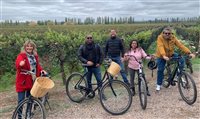 Operadores conhecem mais vinícolas e hotéis em Mendoza; fotos